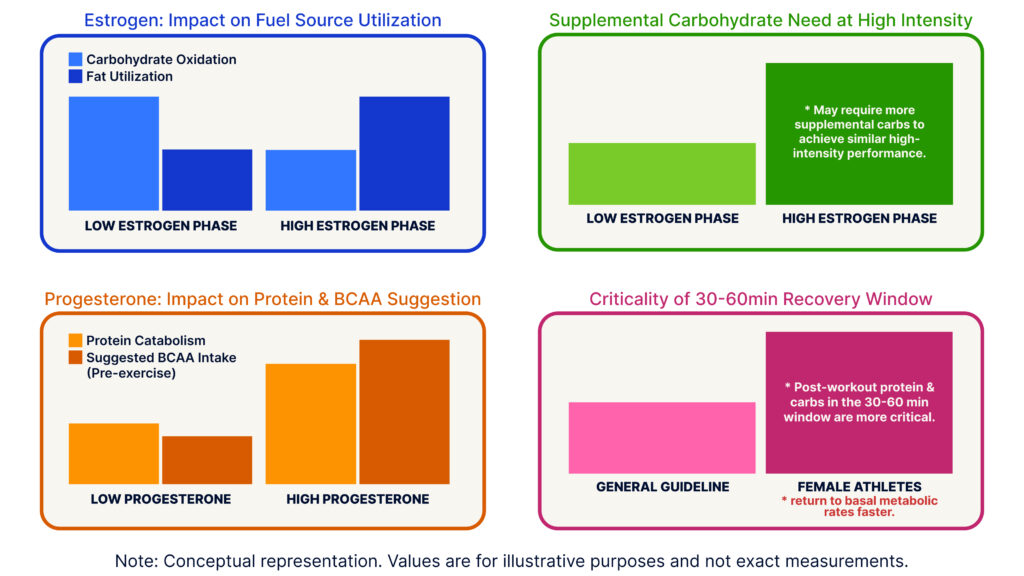 This image features four bar graphs that illustrate the impact of estrogen and progesterone on fuel utilization, carbohydrate needs, protein metabolism, and recovery in female athletes.The first graph, Estrogen: Impact on Fuel Source Utilization, indicates that carbohydrate oxidation is higher during the low-estrogen phase, while fat utilization is higher during the high-estrogen phase.The second graph, Supplemental Carbohydrate Need at High Intensity, shows that supplemental carbohydrate need is higher during the high estrogen phase. On the high-estrogen phase, the graph states: "May require more supplemental carbs to achieve similar high-intensity performance.The third graph, Progesterone: Impact on Protein & BCAA Suggestion, highlights that both protein catabolism and suggested BCAA intake are higher during the high-progesterone phase.And the fourth graph, Criticality of 30-60min Recovery Window, observes that the 30-60 minute recovery window is more critical for female athletes. For female athletes, the graph states: "Post-workout protein & carbs in the 30-60 min window are more critical. Female athletes return to basal metabolic rates faster."There’s a note at the bottom of the graphic that reads: "Note: Conceptual representation. Values are for illustrative purposes and not exact measurements."