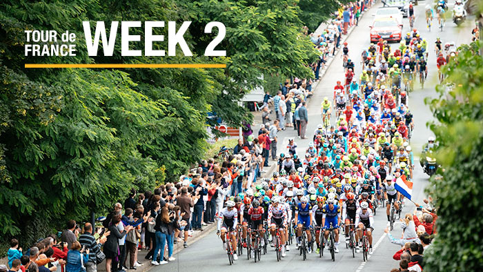 06165 Tdf Analysis Image Week2 700×394