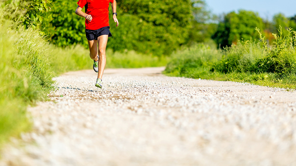 Running Workouts For Race Success A Runner On A Forest Trail Doing Running Workouts For Race Success
