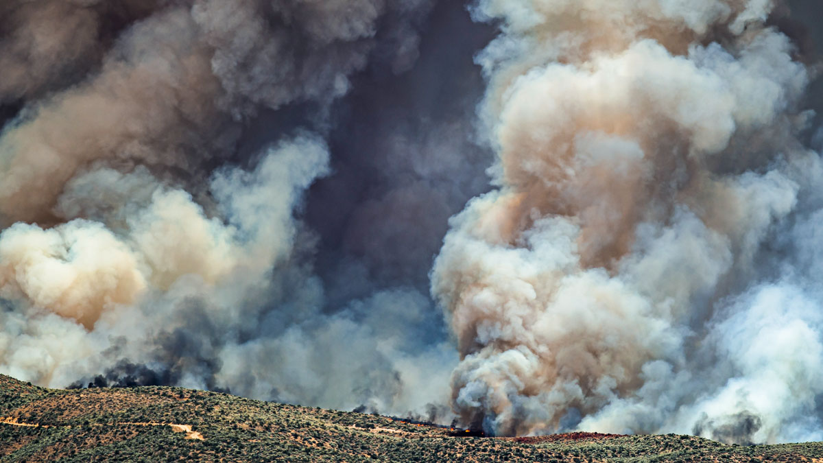 Dense White Smoke Rising From The Raging Wildfire